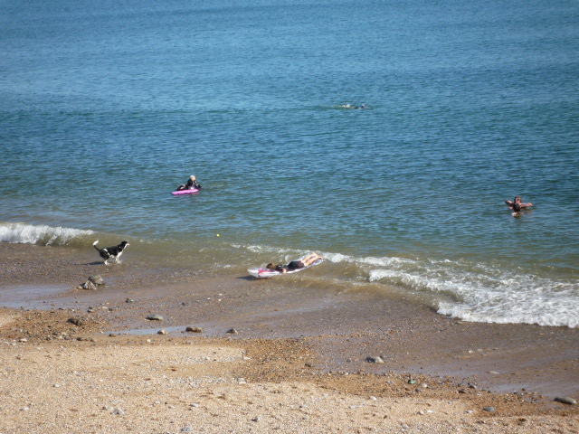 Swimming on Seaton Beach